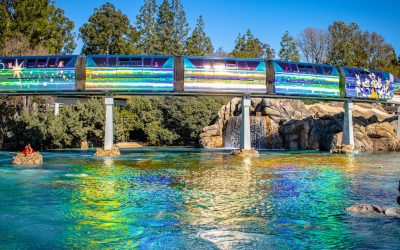 Disneyland Crowd Calendars for 2024 and 2025
