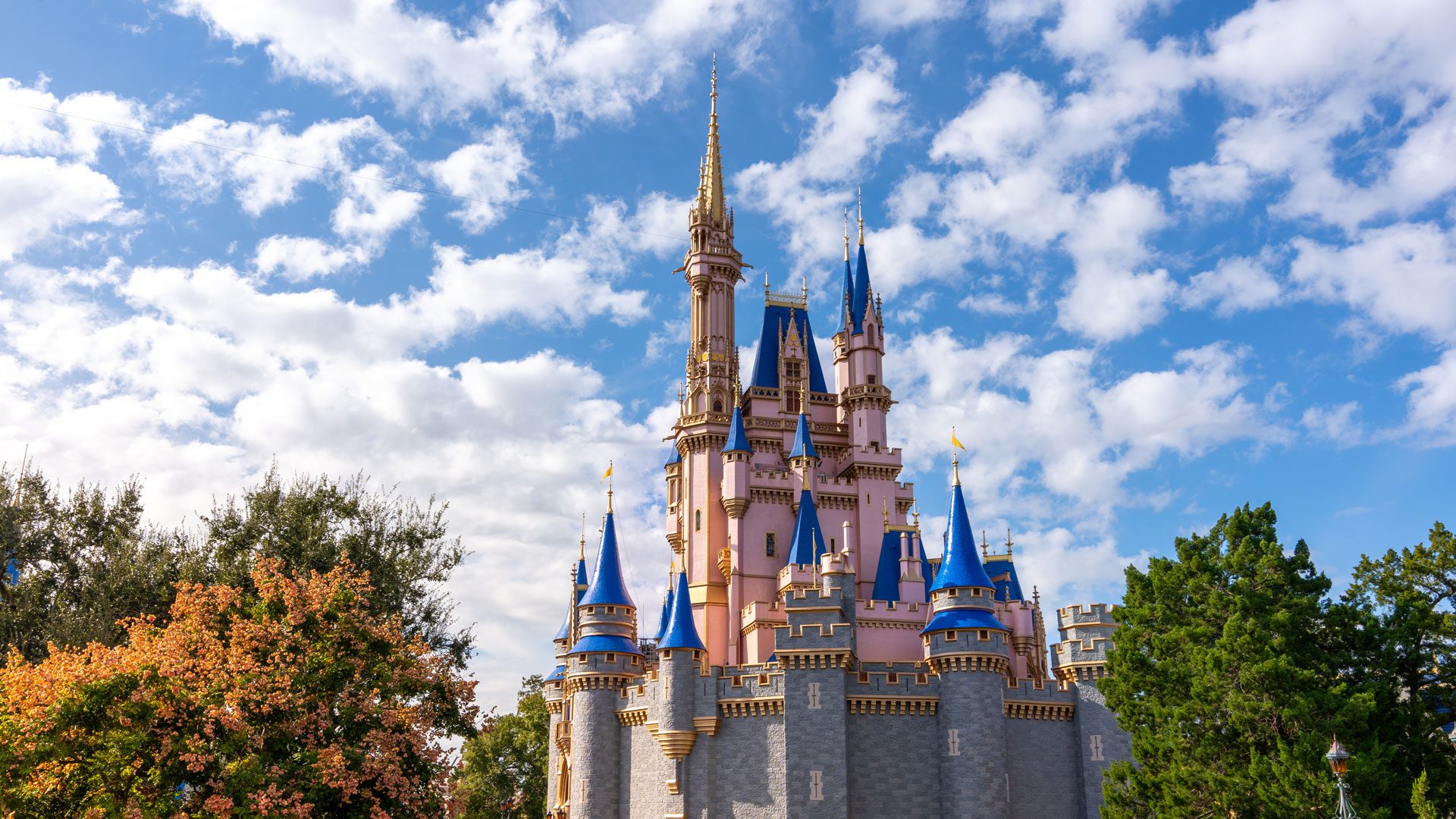 WDW-Category-Hero